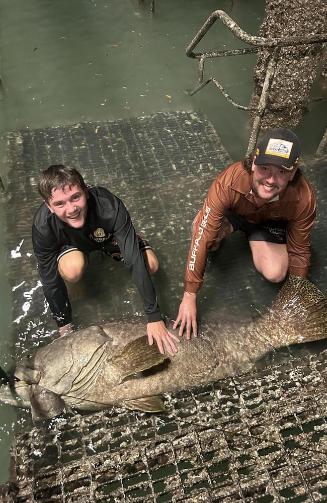 Nate Jaensch was fishing at the popular Mandorah Jetty with his brother and three friends when he reeled in a massive goliath grouper. Picture: Supplied