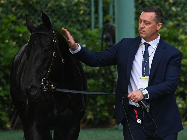 HONG KONG, CHINA - DECEMBER 08: Trainer Tony Gollan cools off Antino of Australia after unplaced finish in Race 7, the Longines Hong Kong Mile during racing at Sha Tin Racecourse on December 08, 2024 in Hong Kong, China.  (Photo by Vince Caligiuri/Getty Images)