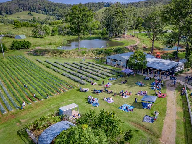 Cooloola Berries Farm and Cafe.