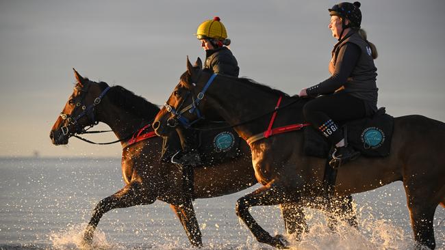 Knights Order (right) with stablemate Alligator Blood at Altona Beach. Picture: Vince Caligiuri–Getty Images