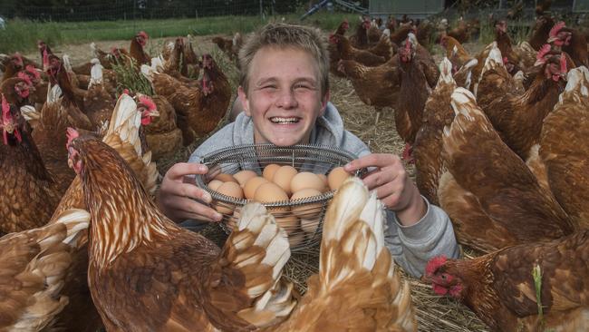 Josh Murray from Josh's Rainbow Eggs is working with Foodbank.. Picture:cRob Leeson