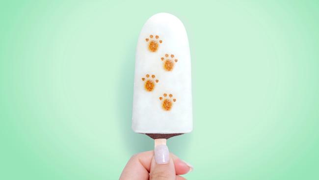 New innovative shareable Paddle Pop ice cream - Mini Me Insights