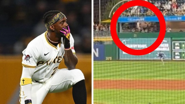 Players react after the fan fell from the stands. Photos: AFP/X