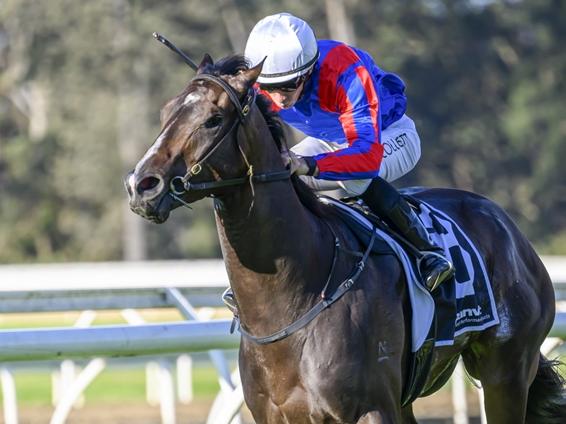 Yorkshire (Warwick Farm 21-08-24). Picture: Bradley Photos