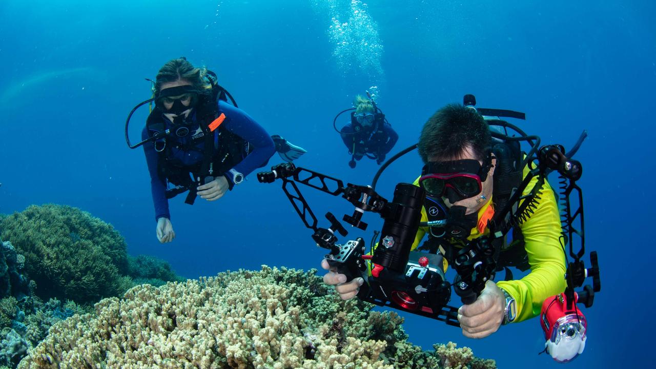 Coral spawning on the Great Barrier Reef, November 2021. Picture: Gabriel Guzman