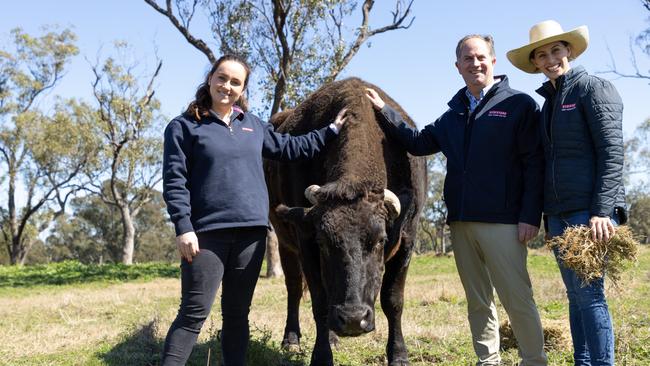 Alexandra, Lachie and Rebecca Hart, Stockyard Beef. Picture: Supplied