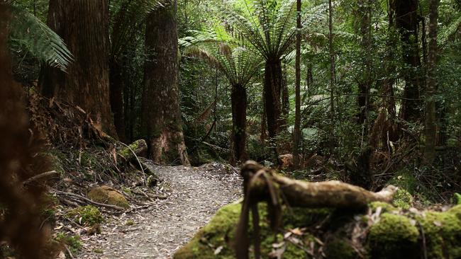 Tasmanian Walking Company Walk with Heart Three Capes Walk. Picture: Zak Simmonds