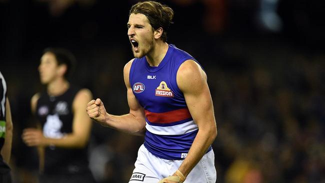 AFL BLUES BULLDOGS