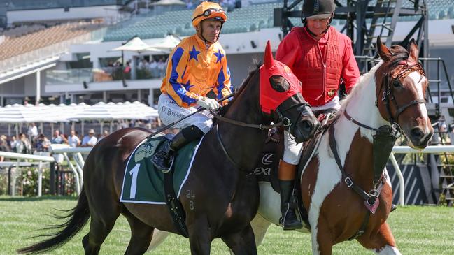 Imperatriz has a wide draw in the William Reid Stakes. Picture: George Sal - Racing Photos