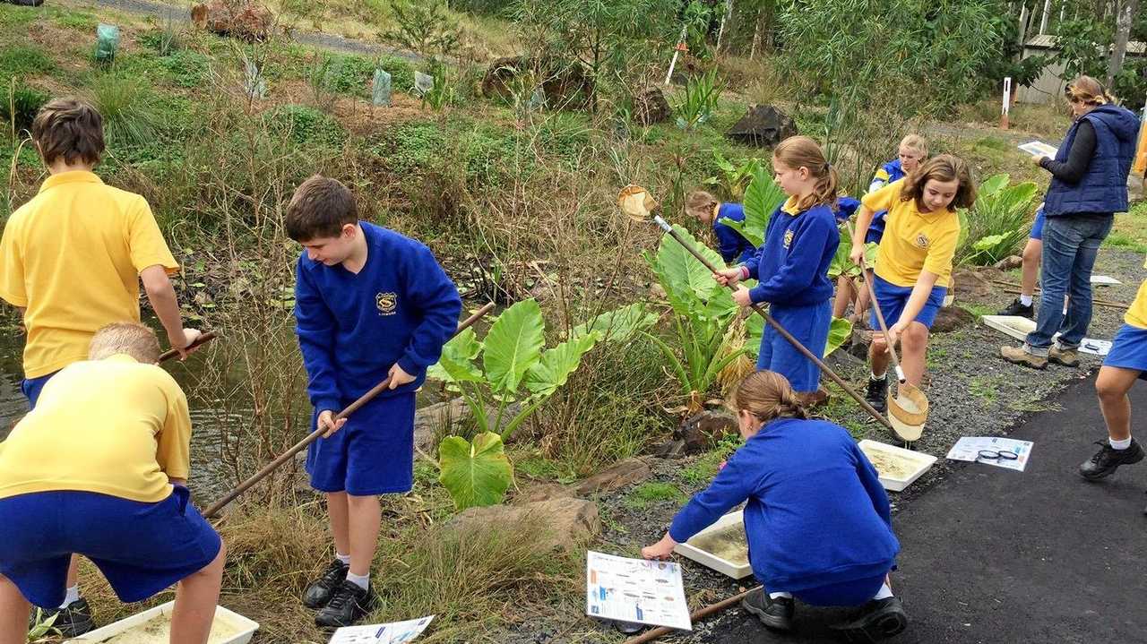 children helping the environment