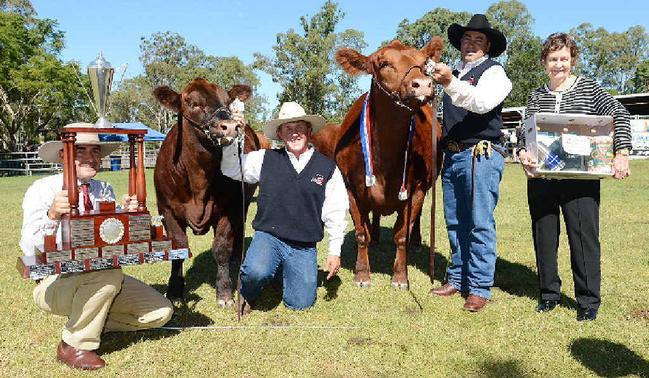 Stephen Duff, Jamie Hollis, Champion of Champions GK Arabella F11, Gavin Iseppi, Elizabeth Green the trophy donor pose for a photo at the Gympie Show yesterday. Picture: Craig Warhurst