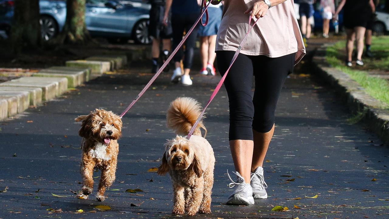 People walking on the footpath in Centennial Park. Picture: Gaye Gerard