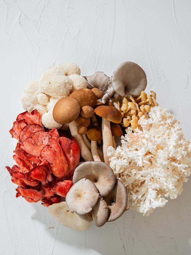 Make a selection of different funghi to enhance the flavour of the dish.