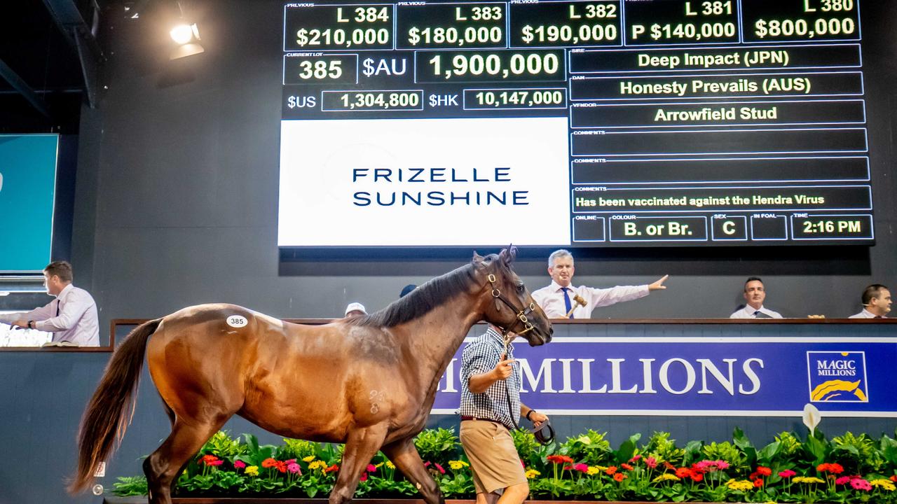 Magic Millions has banned nonessential participants from Greater