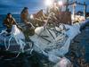 Major update on Chinese spy balloon shot down by US