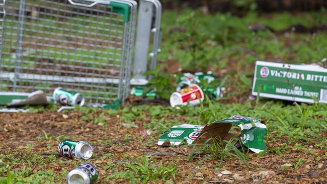 Palmerston mayor Athina Pascoe-Bell said her council has had “extensive issues” with people drinking and littering in public spaces. Picture: Floss Adams