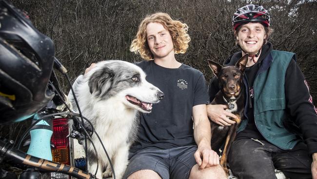 Mountain bikers Dan Booker with dog Isla and friend Baxter Maiwald with his dog Gnala finish their ride up the mountain at the bottom of Old Farm Road, South Hobart. Picture: LUKE BOWDEN