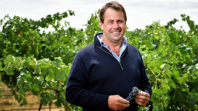 Coonawarra Vignerons chairman Pete Balnaves at Balnaves of Coonawarra winery. Picture: Bianca De Marchi