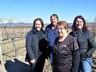 LEADING THE WAY: Ballandean Estate's Robyn Puglisi-Henderson, Robyn Robertson, Mary Puglisi and Leeanne Puglisi-Gangemi. Picture: Matthew Purcell