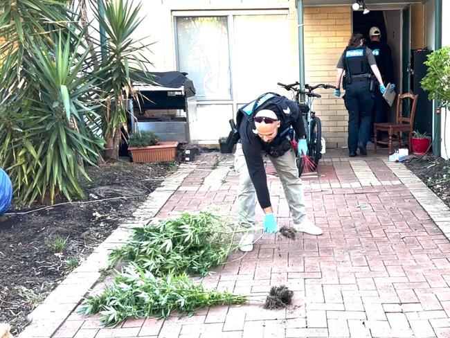 Cannabis plants were allegedly grown in makeshift tents in the backyard. Picture: Victoria Police