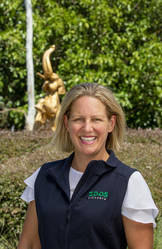 Melbourne Zoo director Michelle Bruggemann joins an esteemed group of female leaders at Zoos Victoria. Picture: Jo Howell 