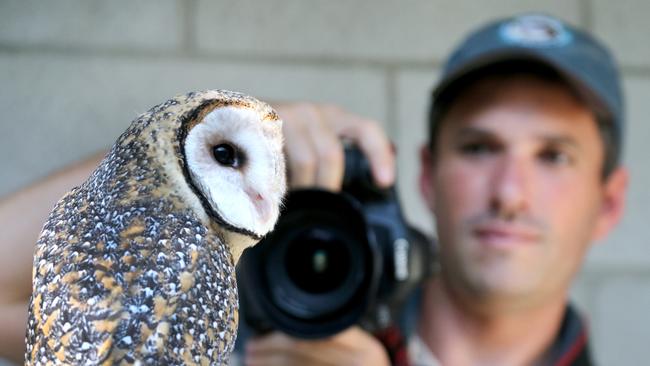 Wildlife Ranger Phil Ghamraoui with a Mask Owl. Picture Mike Batterham