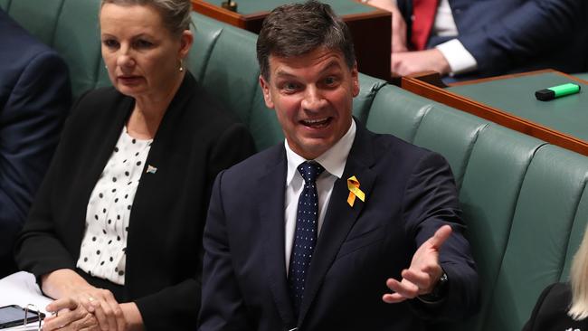 Energy Minister Angus Taylor is definitely not an earless dragon. Picture: Kym Smith