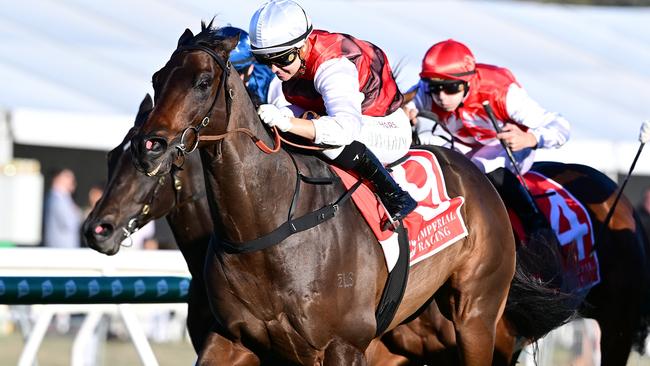 Jockey Cejay Graham combines with trainer Daniel Bowen to win the Ipswich Eye Liner Stakes aboard At Witz End. Picture: Grant Peters - Trackside Photography