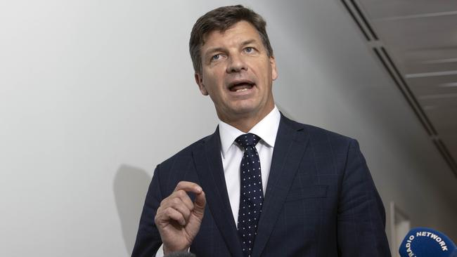 Energy Minister Angus Taylor. Picture: NCA NewsWire/Gary Ramage