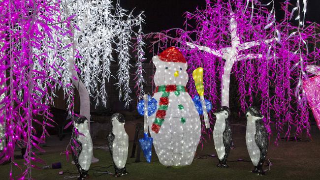 Part of the jaw-dropping display at 52 Forest Oak Dr, Upper Coomera. Photo: Jerad Williams