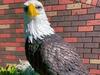 Brazen thief steals 25kg eagle statue from local ‘zoo’