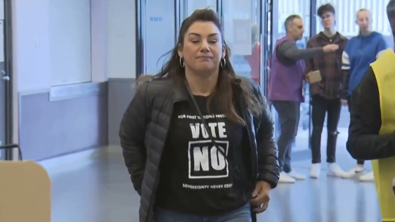 'Stamp out racism': Lidia Thorpe casts Voice vote