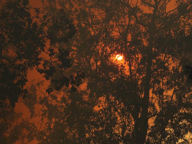 Firefighters battle bushfires in Busbys Flat, northern NSW, Wednesday, October 9, 2019. (AAP Image/Jason O'Brien)