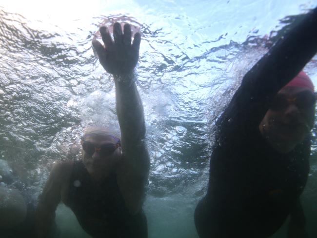 The swimmers follow a number of different courses.