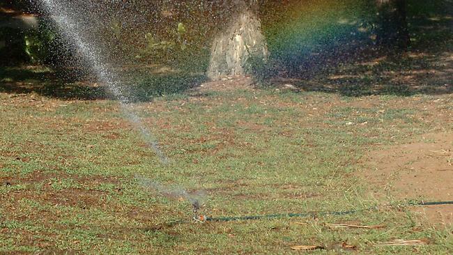 A water sprinkler going at Riverway in Townsville. As part of water restrictions water sprinklers will be limited to odds and evens days for two hours in the morning, and two hours in the evenings.