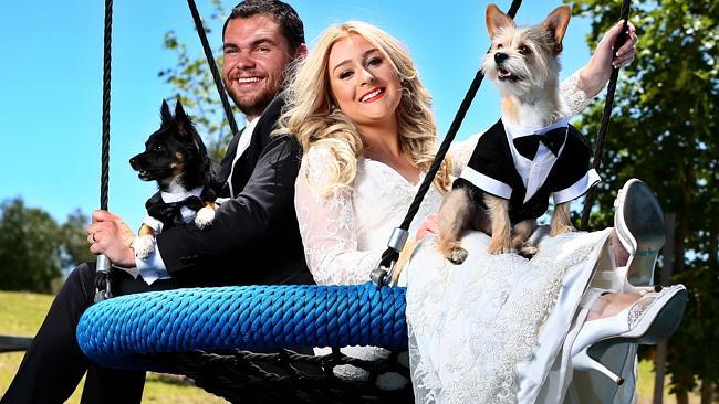 Dogs in weddings