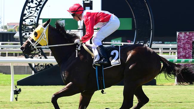 Papa Jo winning at Eagle Farm. Picture: Trackside Phtography