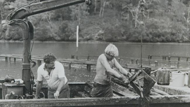 Bob Moxham pulling poles on lease on the family oyster farm on the Hawkesbury River at Brooklyn