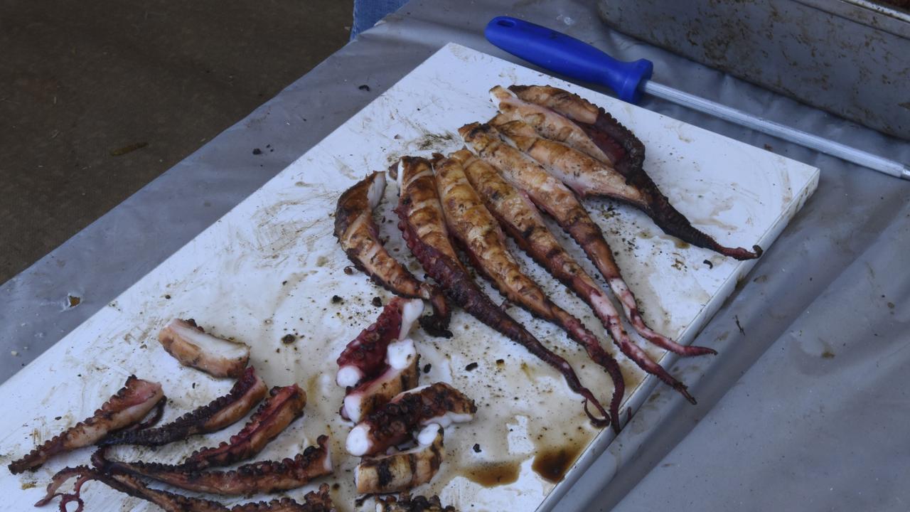 ‘Sabotage’ claim thrown by Brotherhood after octopus health order