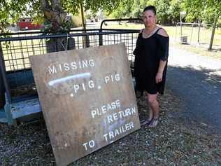 MISSING PIG: Tia Johnston wants her week-old piglet, which went missing on Thursday, returned to her Elliott Heads Rd home. Picture: Mike Knott BUN011018PIG1