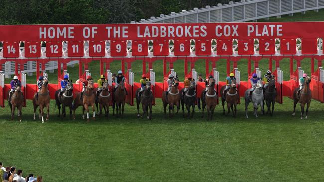 The virtual Greatest Ever Cox Plate field leaves the barriers.