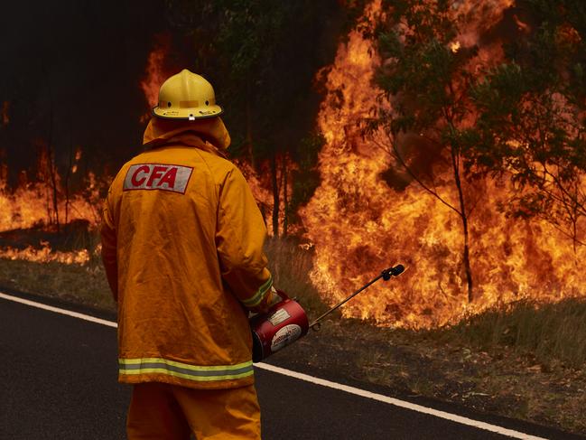 SYDNEY, AUSTRALIA - NOVEMBER 14: A CFA Member works on controlled back burns along Putty Road. Crews are working hard to gain the upper hand after devastating fires tore through areas near Colo Heights. Bushfires from the Gospers Mountain bushfire continue to burn on November 14, 2019 in Sydney, Australia. An estimated million hectares of land has been burned by bushfire following catastrophic fire conditions - the highest possible level of bushfire danger. While conditions have eased, fire crews remain on high alert as dozens of bushfires continue to burn. A state of emergency was declared by NSW Premier Gladys Berejiklian on Monday 11 November and is still in effect, giving emergency powers to Rural Fire Service Commissioner Shane Fitzsimmons and prohibiting fires across the state. (Photo by Brett Hemmings/Getty Images)