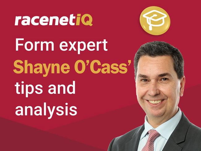 Racenet form analyst Shayne O'Cass.
