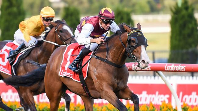 Streets of Avalon is $19 to win the Memsie Stakes after he was favourite in the PB Lawrence Stakes last start. Picture: Racing Photos via Getty Images