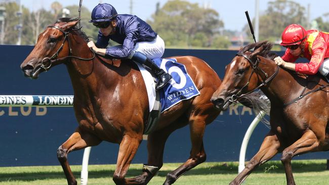 Boom filly Learning To Fly can overcome her wide draw and win the $2m Inglis Millennium. Picture: Grant Guy