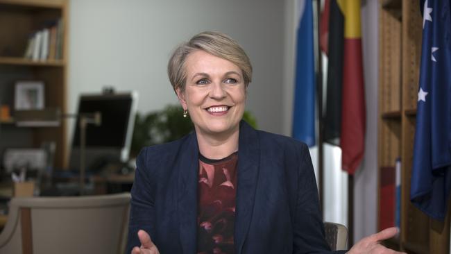 Minister for the Environment and Water Tanya Plibersek. Picture: Gary Ramage