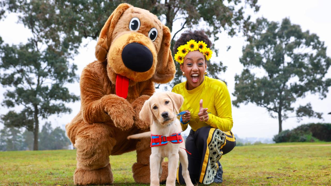 Last year, Wags the Dog from the Wiggles met an assistance dog puppy who was also called Wags. Picture: Justin Lloyd