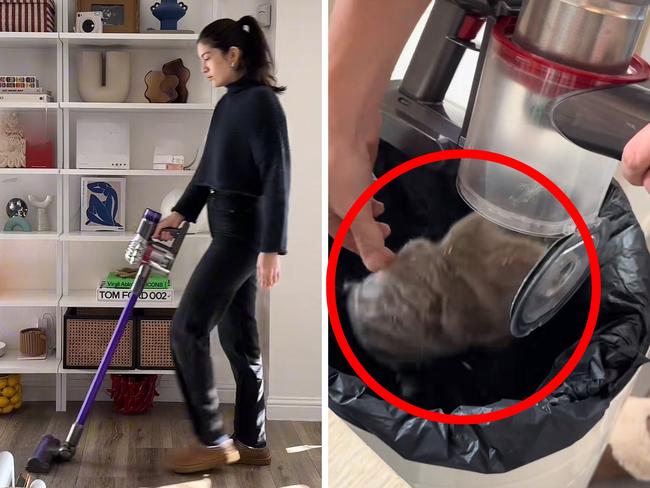 Now's your chance to snap up this popular Dyson vacuum for less. Picture: @sareishh, @megholt99