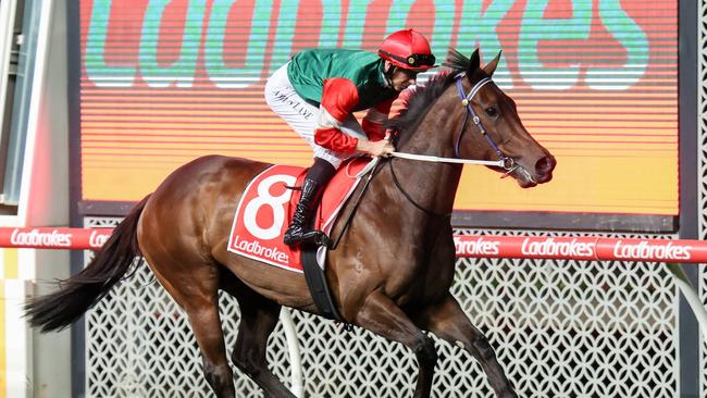 Amelia's Jewel on the way to the barriers prior to the running of the Ladbrokes Stocks Stakes at Moonee Valley Racecourse on September 29, 2023 in Moonee Ponds, Australia. (Photo by George Sal/Racing Photos via Getty Images)