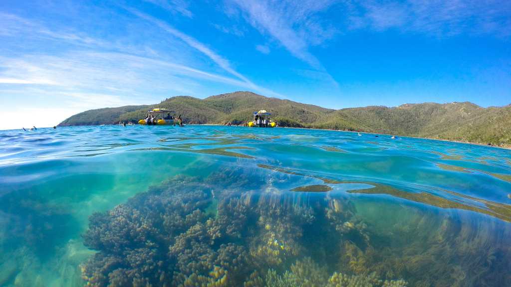 A section of a Whitsunday reef photographed post Cyclone Debbie by Ocean Rafting staff. Picture: Ocean Rafting